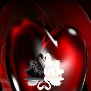 Meet your Posher, Rayna